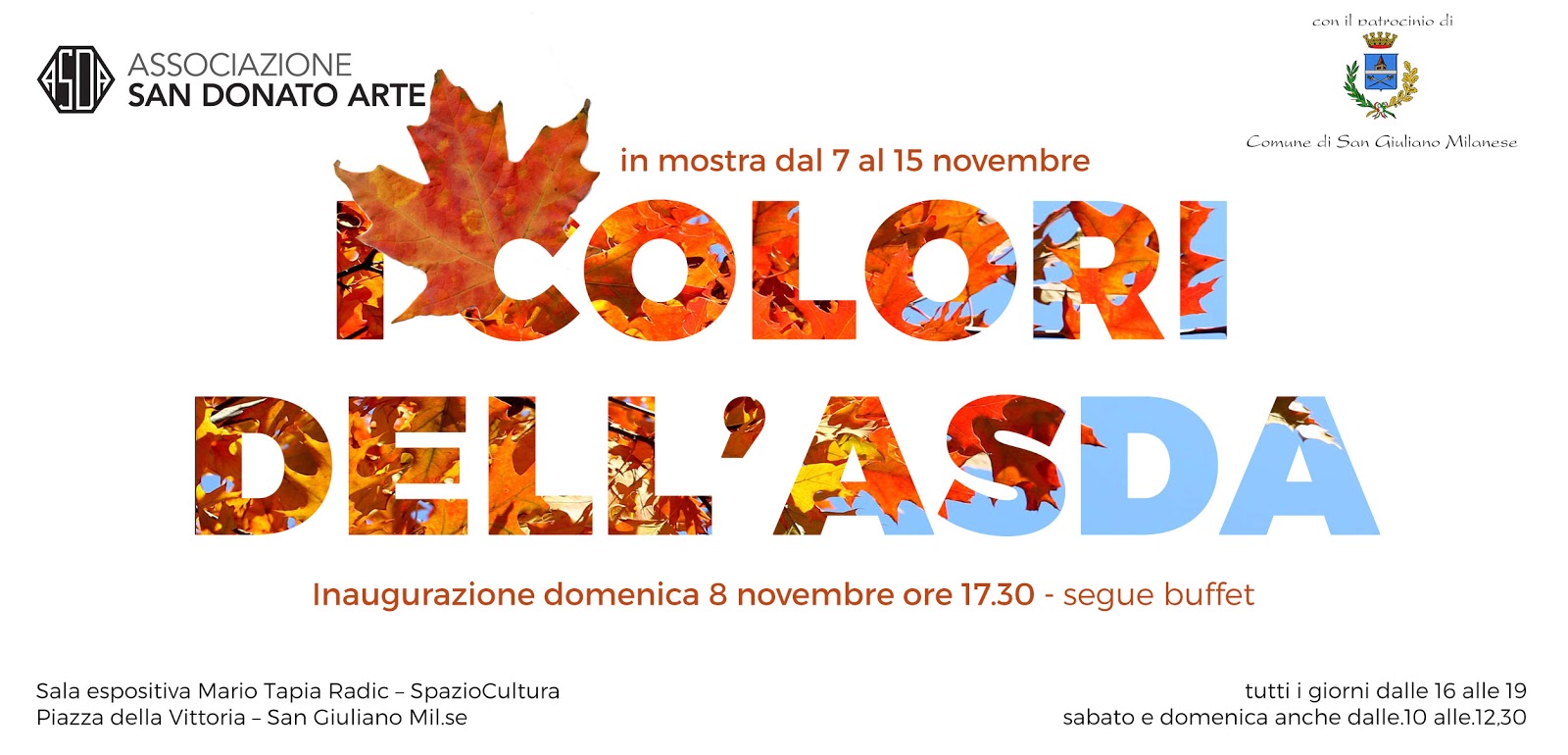 icoloridellasda-preview4