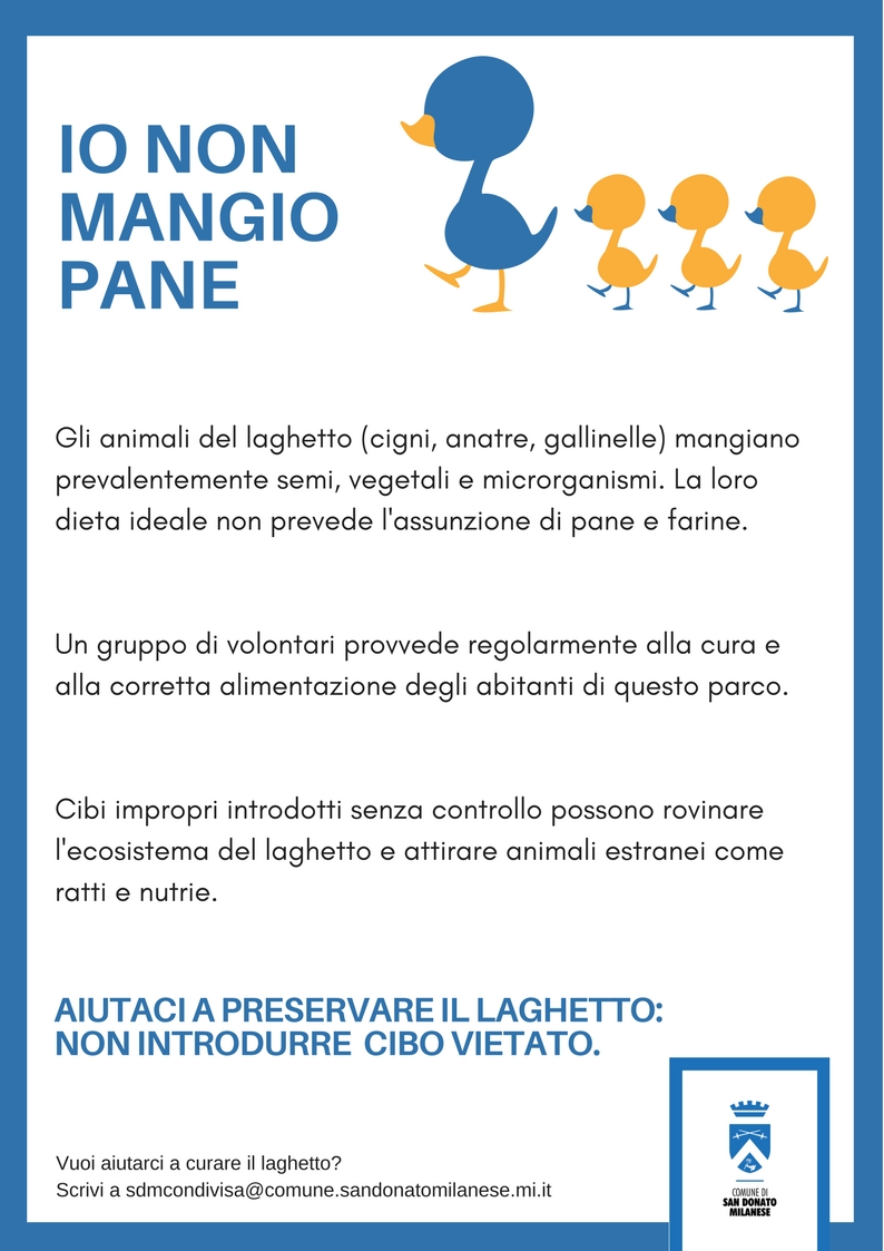 03776 Iononmangiopane