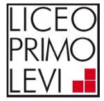 liceo primo levi