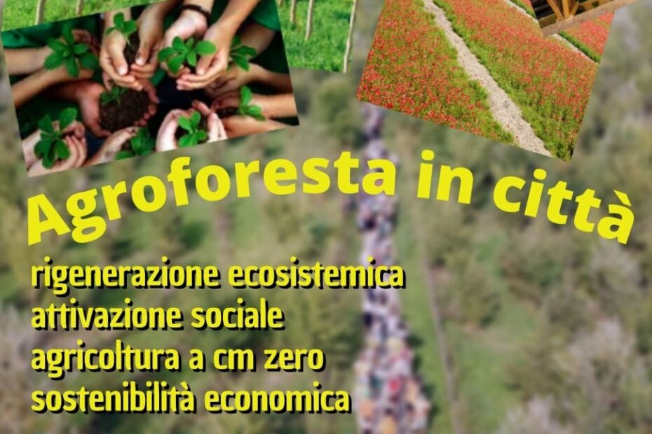 agoforesta webinar 5 marzo 2021 ore 18