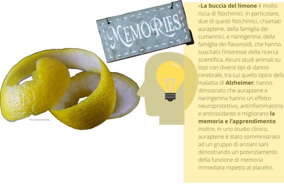 Alzheimer -Buccia di Limone - Memoria