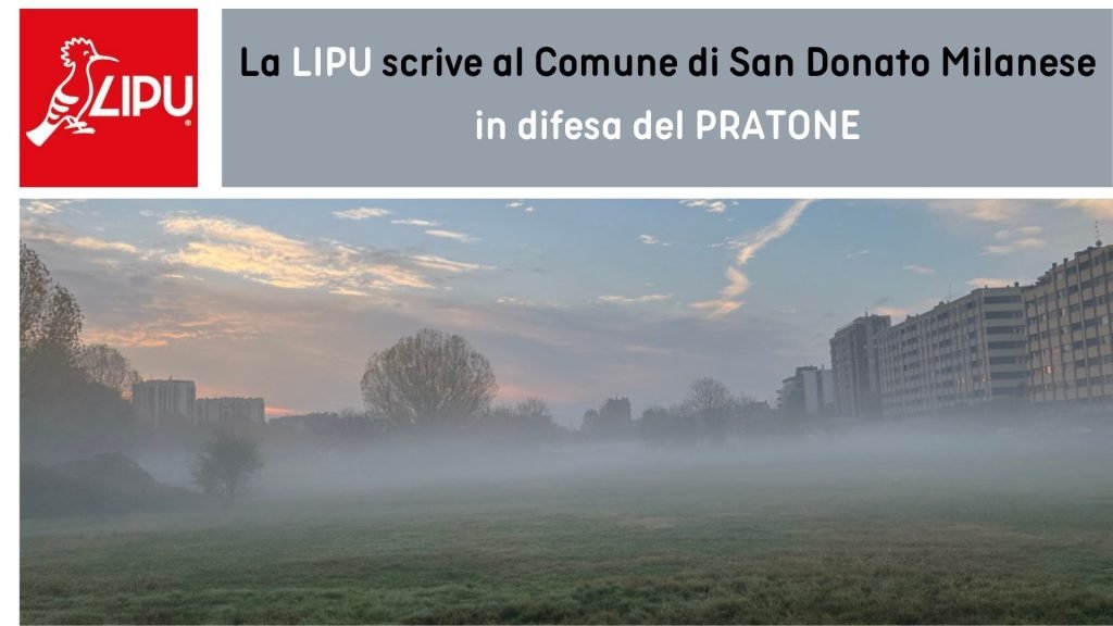 LIPU_SAN DONATO MILANESE in difesa del PRATONE