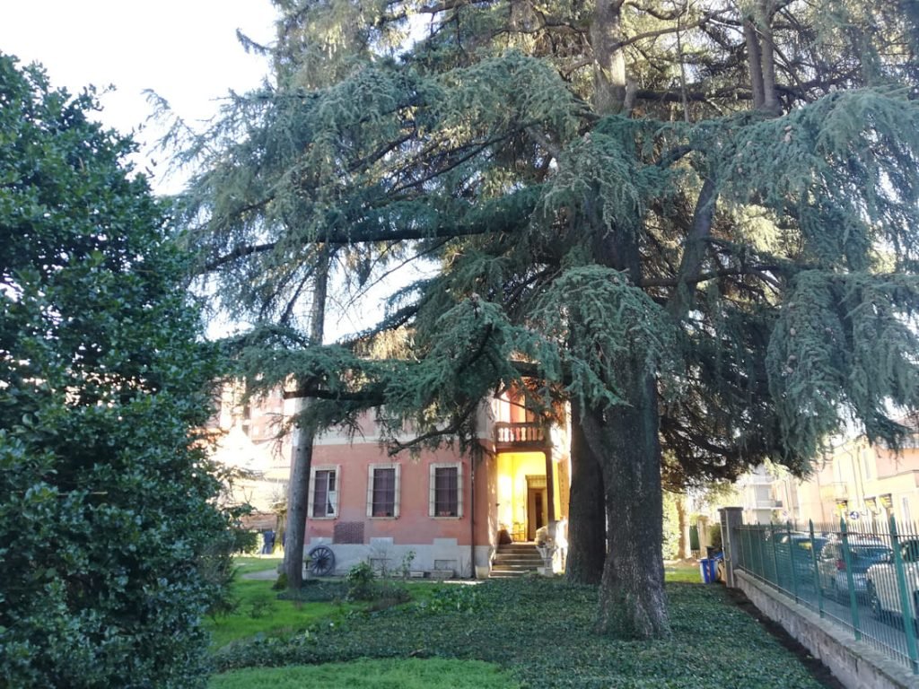 Villa Angelino e il suo Giadino con i Cedri del Libano secolari