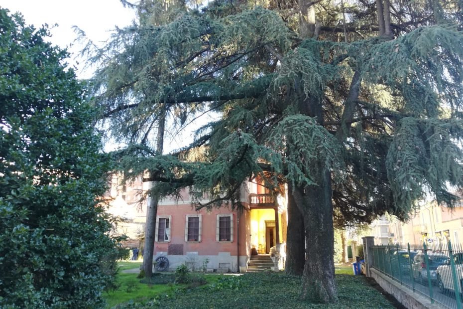 Villa Angelino e il suo Giadino con i Cedri del Libano secolari