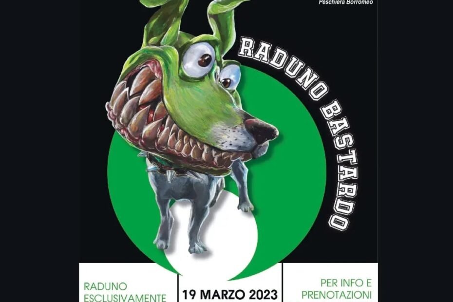 raduno bastardo