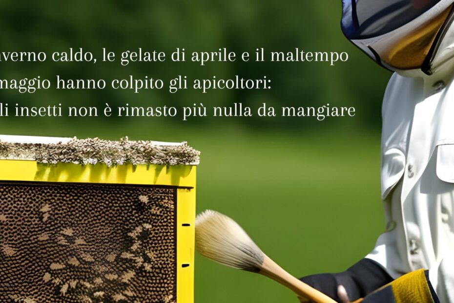 L’inverno caldo, le gelate di aprile e il maltempo di maggio hanno colpito gli apicoltori: "Agli insetti non è rimasto più nulla da mangiare: