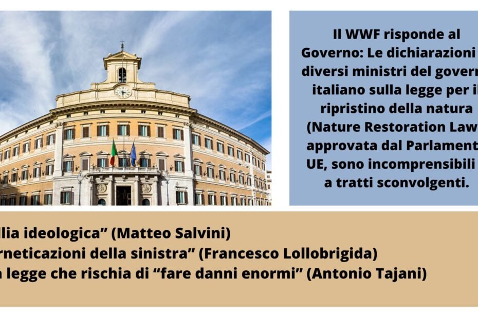 wwf_risponde_governo_legge_ripristino_natura