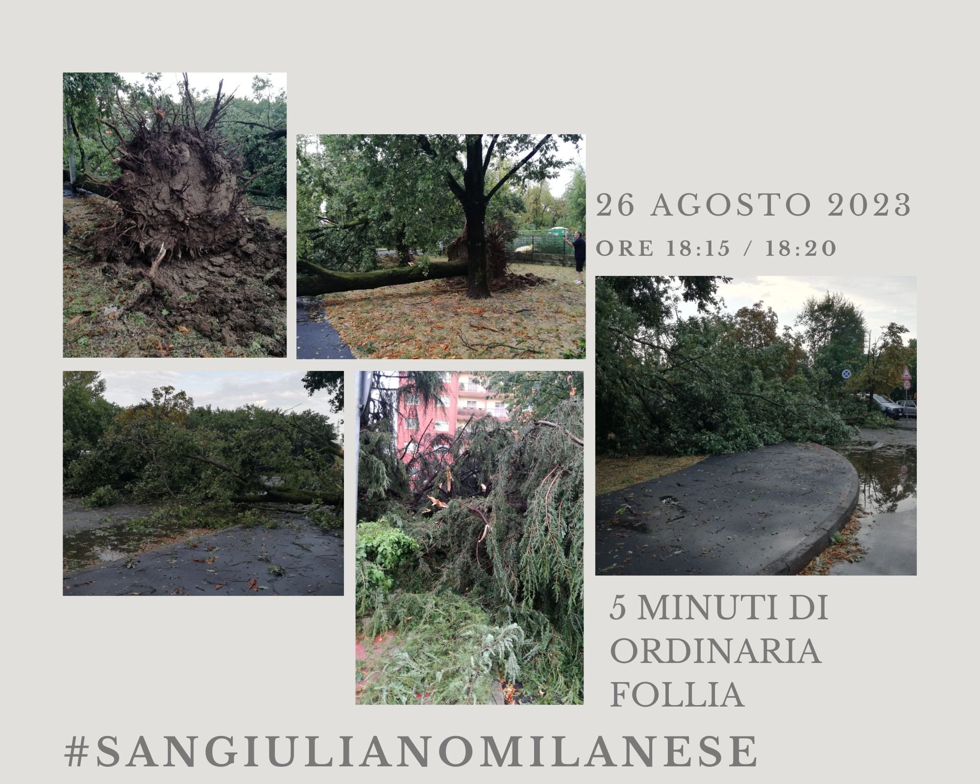 26 Agosto 2023 Danni temporale Via Gorky San Giuliano Milanese