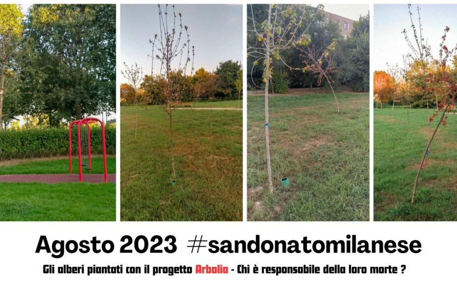 ARBOLIA_MORTE DI ALBERI_Agosto 2023