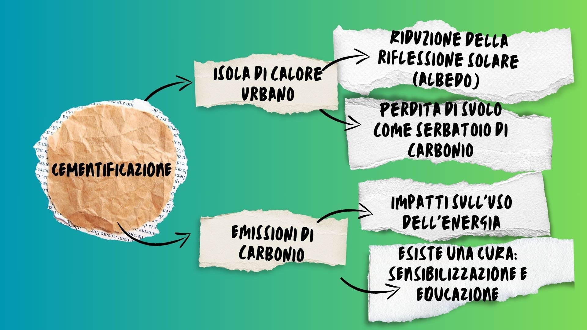 Il problema della siccità e dei cambiamenti climatici e il loro impatto sugli alberi, le foreste e la biodiversità. - CAMBIAMENTI CLIMATICI