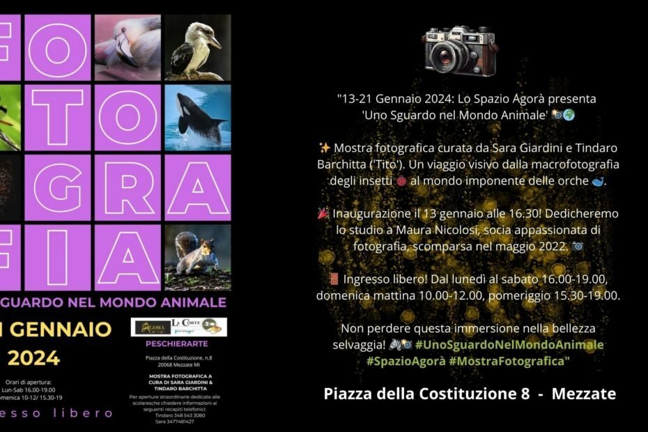 Lo Spazio Agorà lancia una nuova mostra fotografica: “Uno sguardo nel mondo animale”