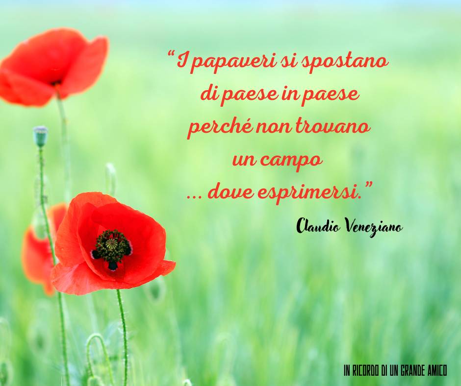 “I papaveri si spostano di paese in paese perché non trovano un campo dove esprimersi.” - Claudio Veneziano 2021