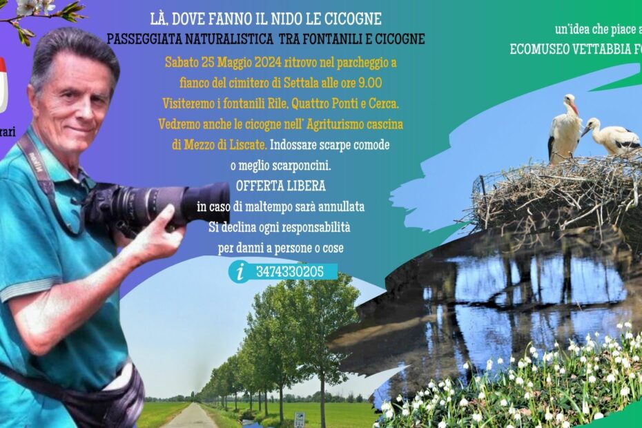 TRA FONTANILI E CICOGNE - 25 Maggio 2024
