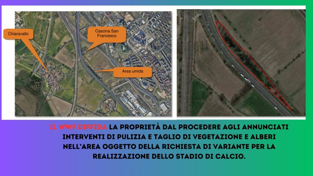 Il WWF diffida la proprietà