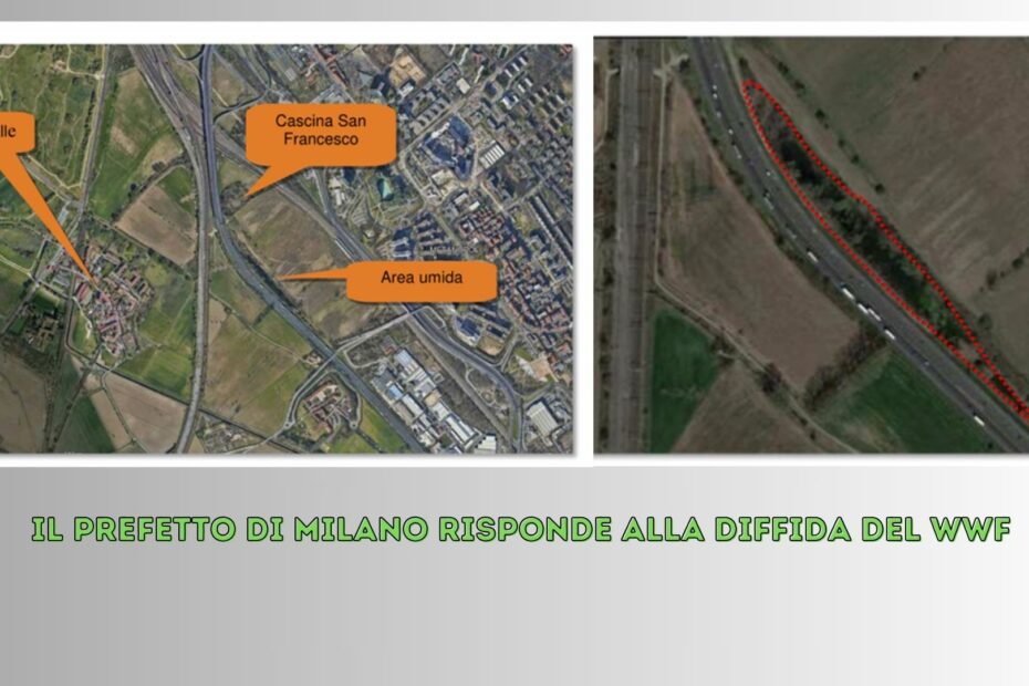 Il WWF diffida_risposta_prefetto
