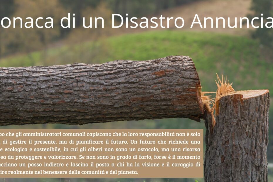 le Amministrazioni Comunali responsabili, del massacro degli alberi