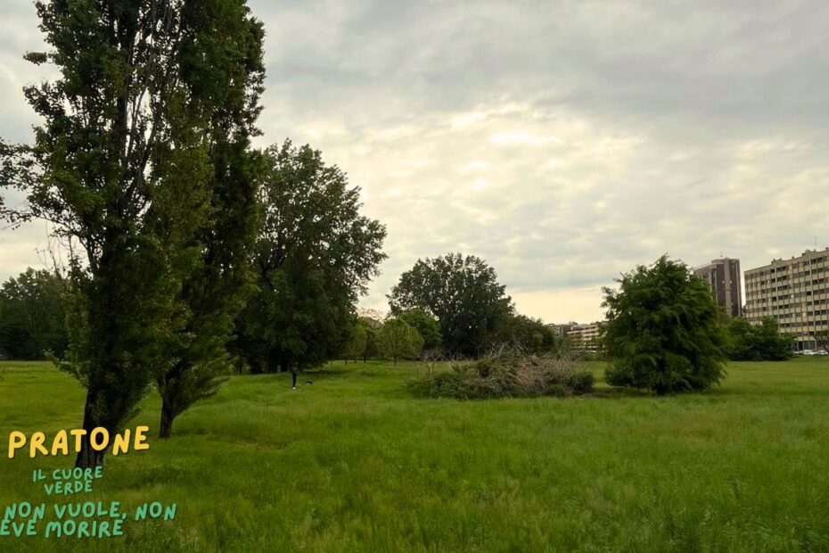 Il Pratone, il cuore verde che non vuole e non deve morire. San Donato Milanese